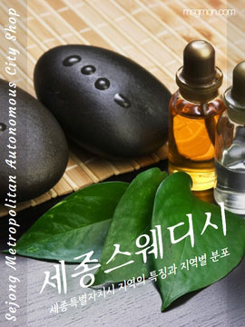 세종 스웨디시 마사지몬 추천 샵