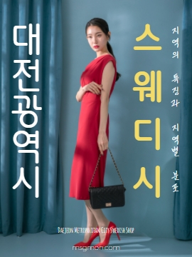 대전스웨디시 지역의 특징과 지역별 분포