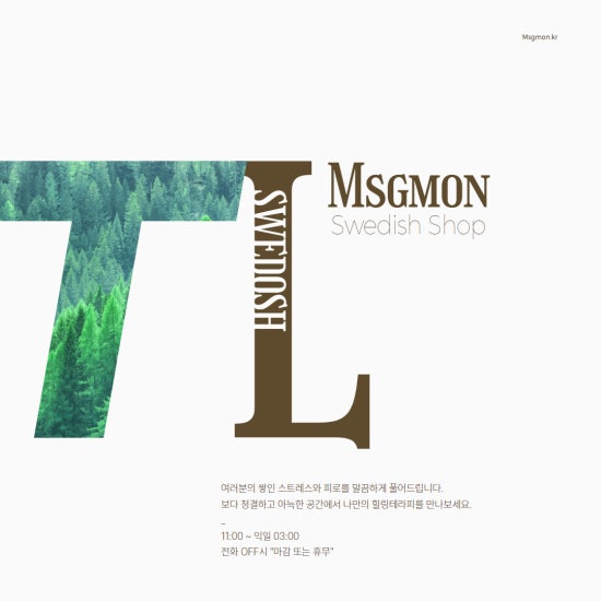 수원 티엘