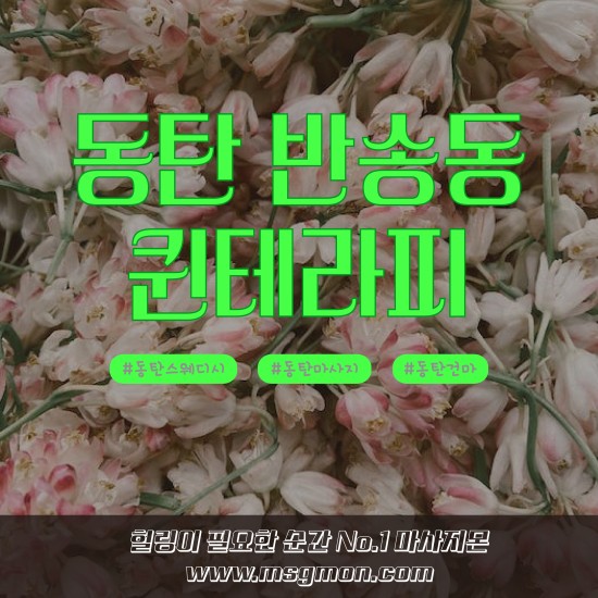 동탄 루나테라피