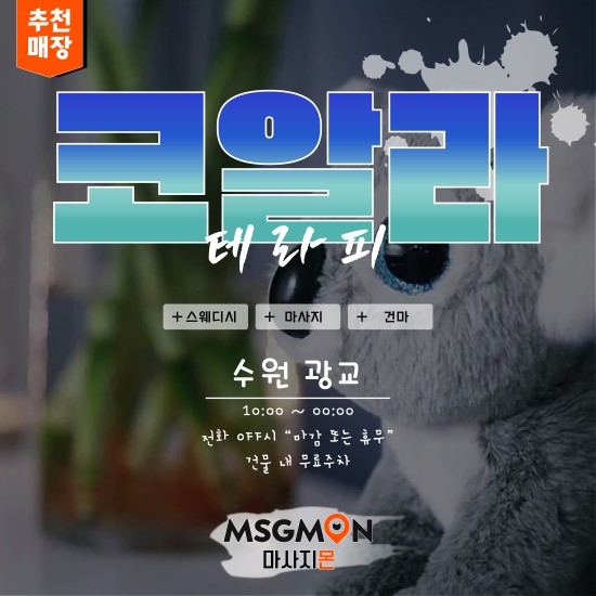 광교 코알라테라피