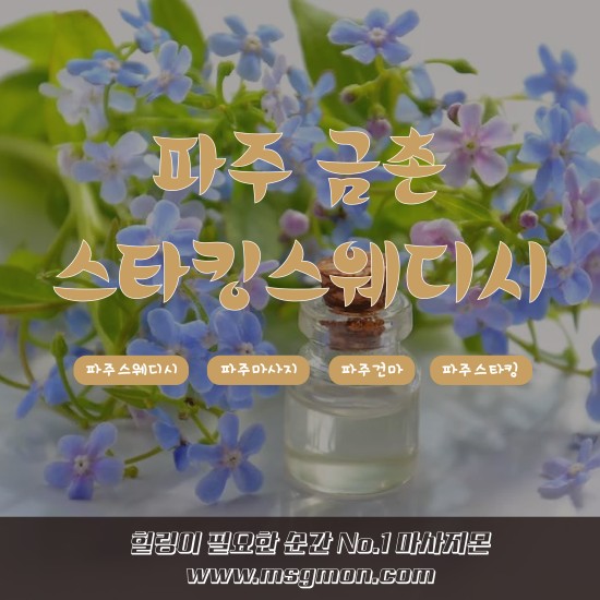 파주 스타킹