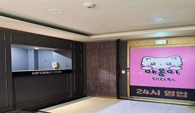 인천 항동 야옹이테라피 카운터 2