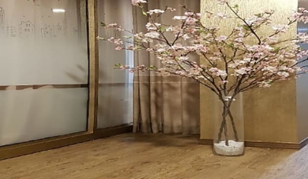 성북 탑테라피 복도 벽면